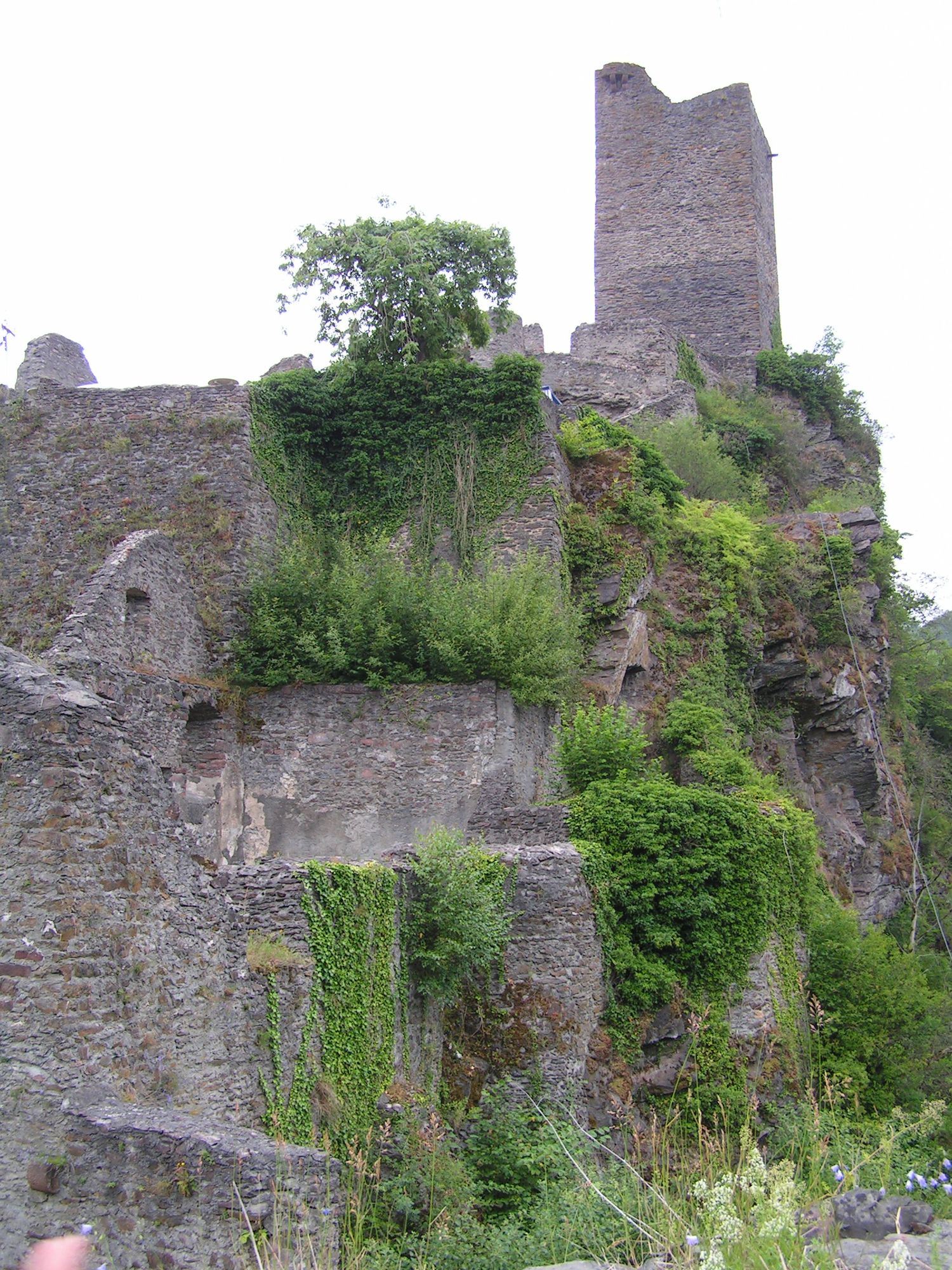 Burg Festung
