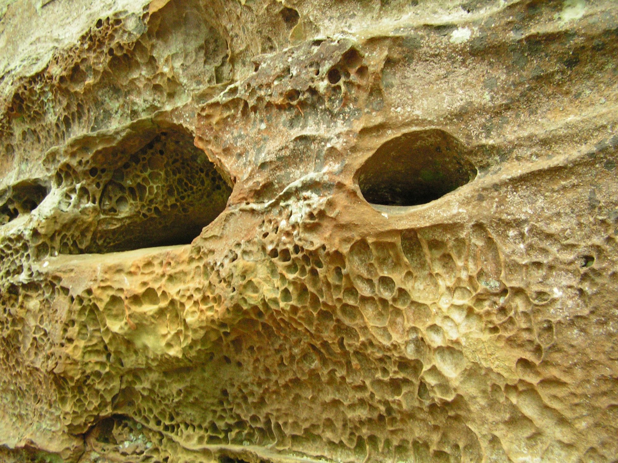 Steinsteinfelsen im Wald an der Grenze zu Luxemburg