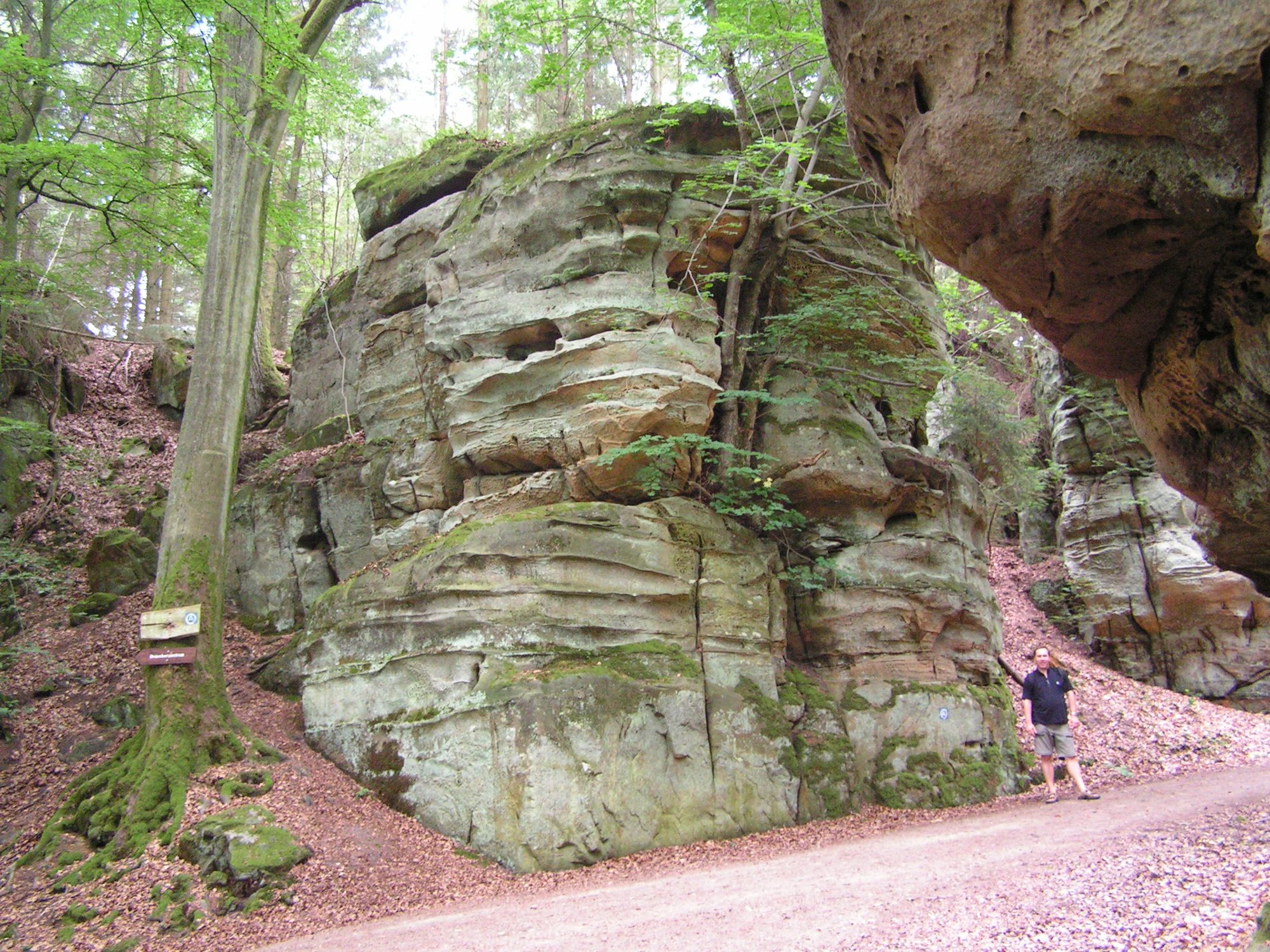 Steinsteinfelsen im Wald an der Grenze zu Luxemburg