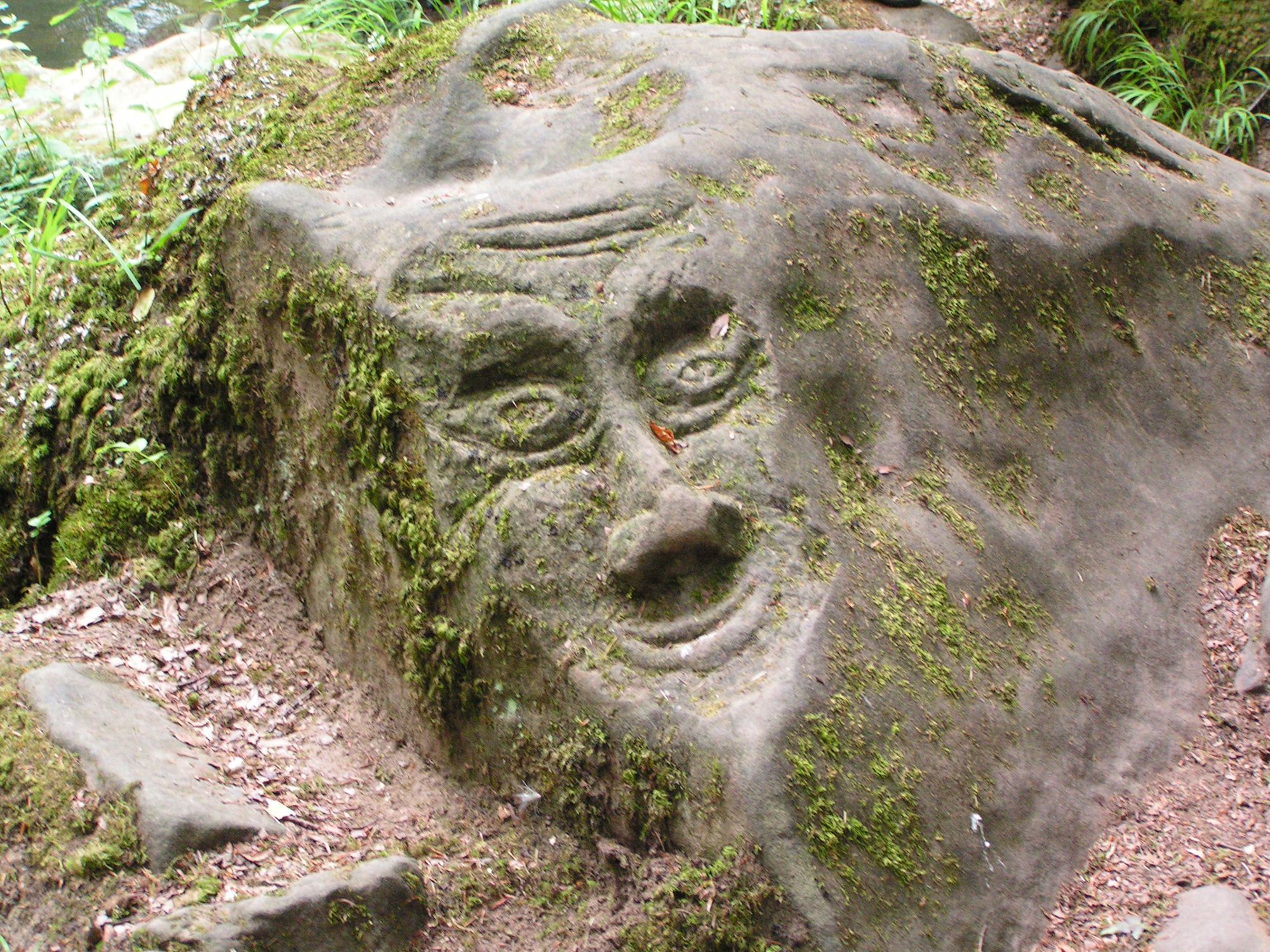 Eifel Stein mit Gesicht