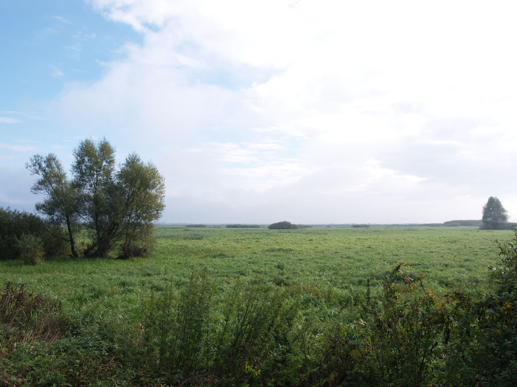Radtour Polen Warte Delta