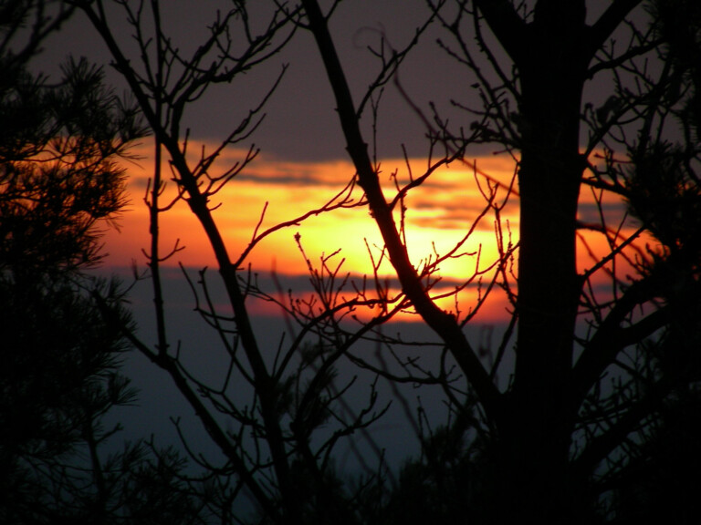 2010 Elbsandsteingebirge Wanderung