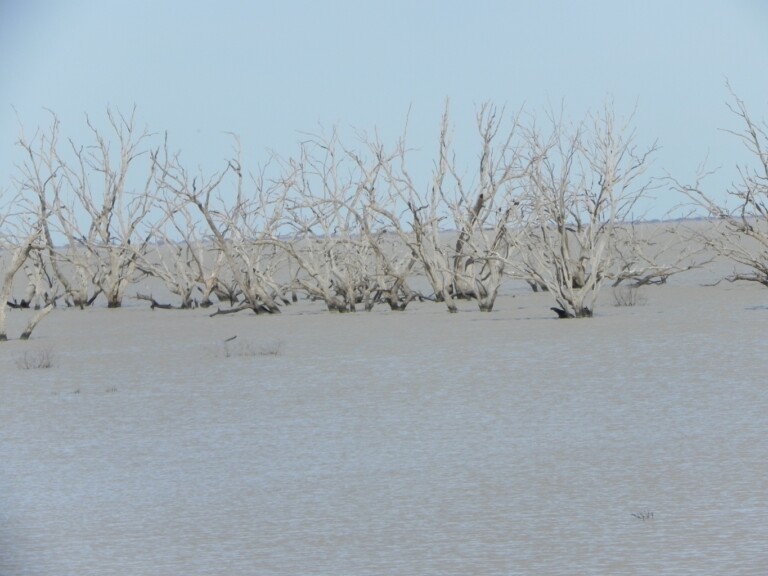 Broken Hill – Menindee