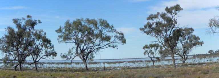 Halls Gap – Red Cliffs, Mildura