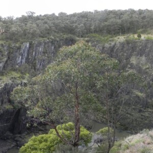 Apsley Falls Panorama