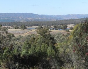 Burrendong Lake panorama view