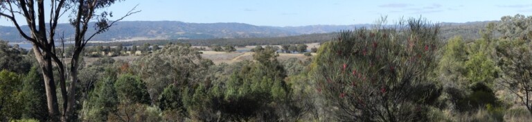 Dubbo – Wellington Caves – Burrendong Arboretum – Blackheath