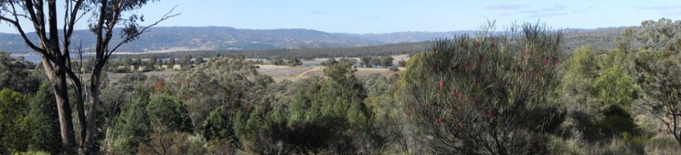Burrendong Lake panorama view