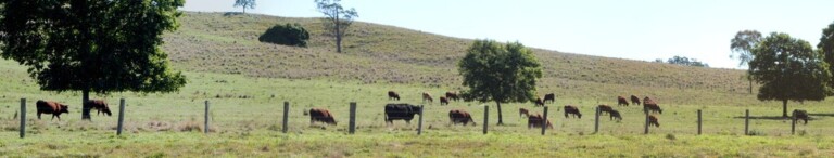 Lismore – Toowoomba driving