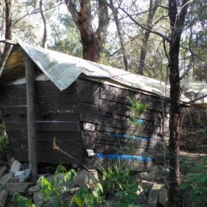 White Gums Community wood tent