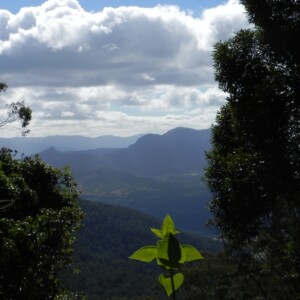 View from Mount Nardi north-west