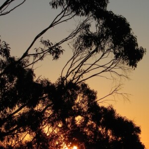 Sunset on Picnic Point in Toowoomba