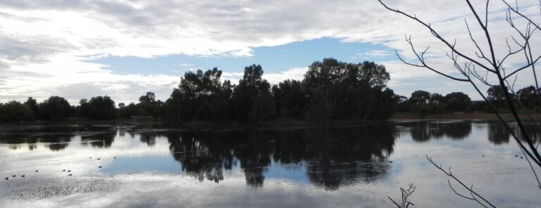Cobar – Dubbo driving by car