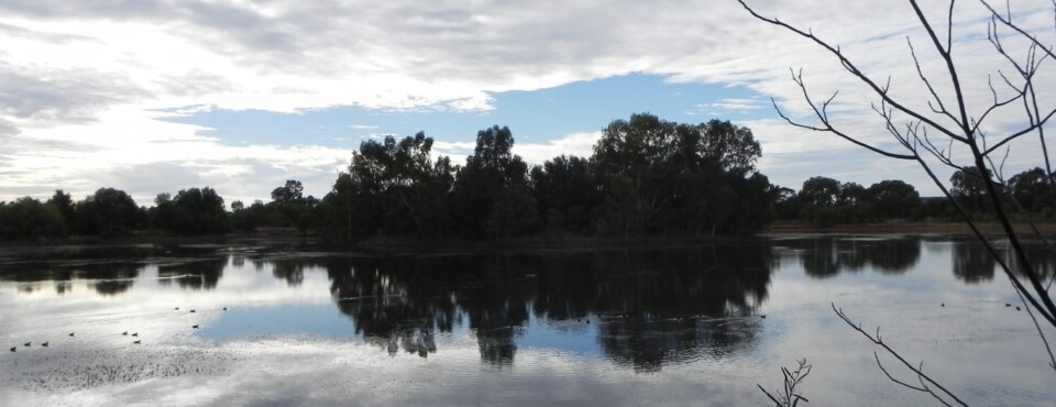 Water reservoir in Cobar