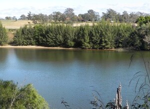 Windsor River panorama view
