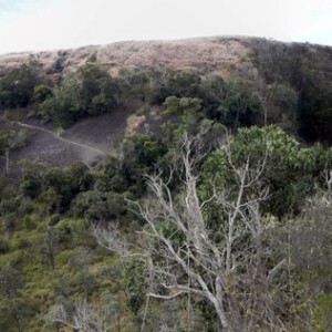 Toowoomba Mount Tabletop