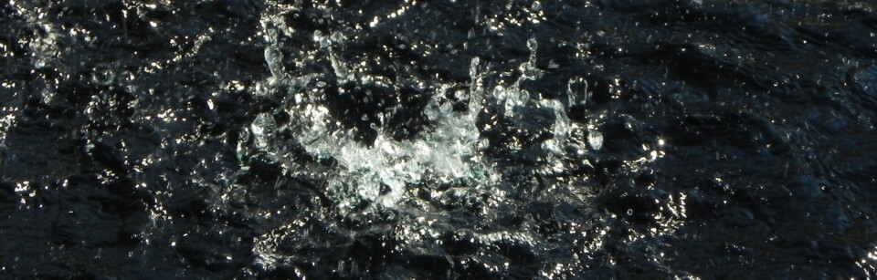 Water drops in a fountain