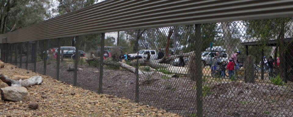 Zoo from inside point of view