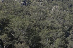 Cropped Crows Nest river view
