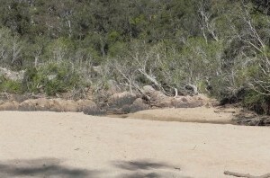 Cropped Crows Nest river view sandy beach