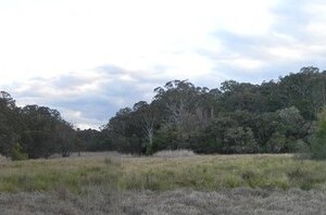 Cropped nature preserve swamp wood