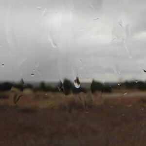 rain in the desert