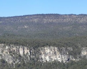 Carnarvon Gorge Sandstone rock wall