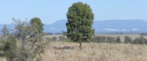 view to the Cornarvon Mountains