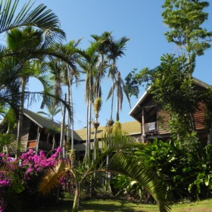 YHA Tree House Bingil near Mission Beach