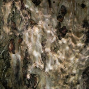 White gum with water reflexions