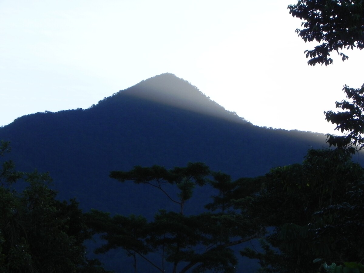 Mount Bartle Frere, Wooroonooran National Park, Miriwinni, North Queensland