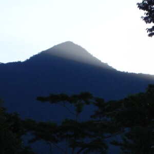 Mount Bartle Frere, Wooroonooran National Park, Miriwinni, North Queensland
