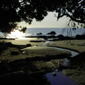 Etty Bay in the morning