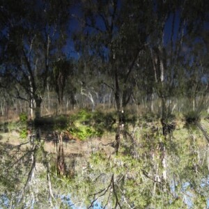 Davis Creek Panorama