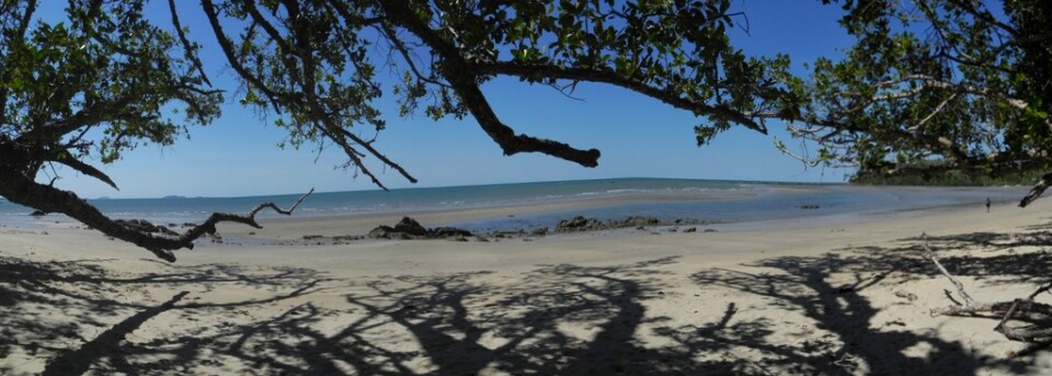 Gardner Beach Panorama