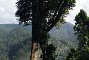 Johnston river valley view