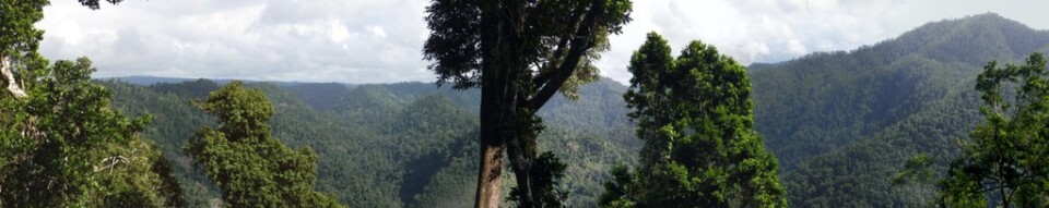 Johnston river valley view