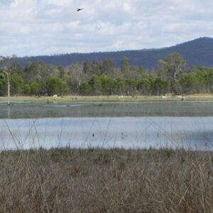 Mareeba Lake