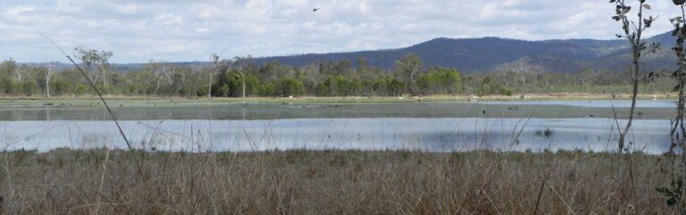 Malanda – Mareeba Wetlands – Davids Creek Waterfall – Kuranda – Smithfield