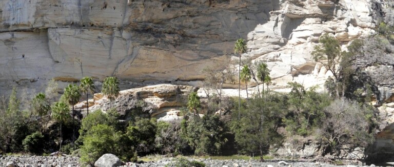 Carnarvon Gorge – main track up to Big Bend and the gorge