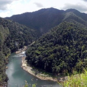 South Johnston river valley view