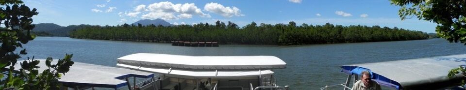 Daintree River Jetty cropped