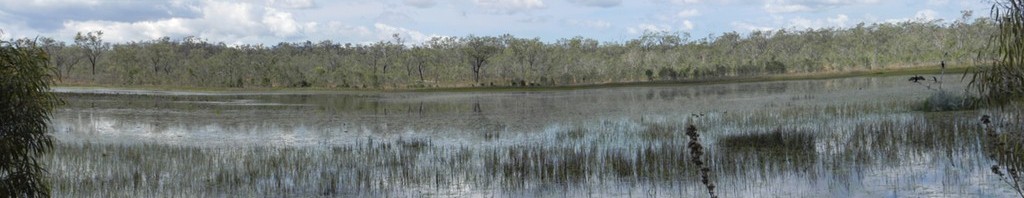 Cropped Mareeba Lake panorama view