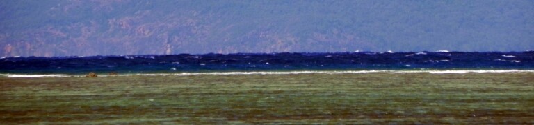 Journey to the Exotic Cairns and Green Island