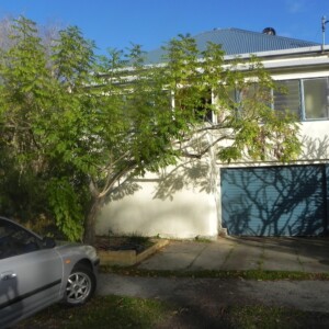 Couch in Lismore the house