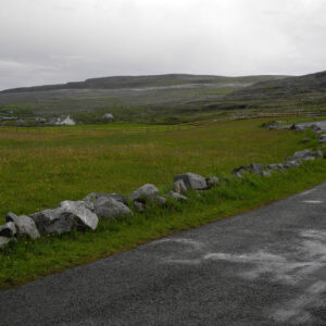 The Barren walk on the road