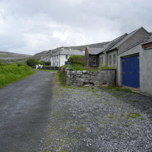 The Barren walk on the road some houses