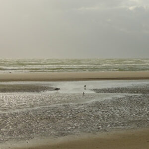 Priele am Strand