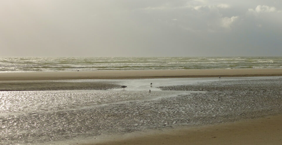 Priele am Strand