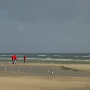 Strand Meer Spaziergänger Möwen